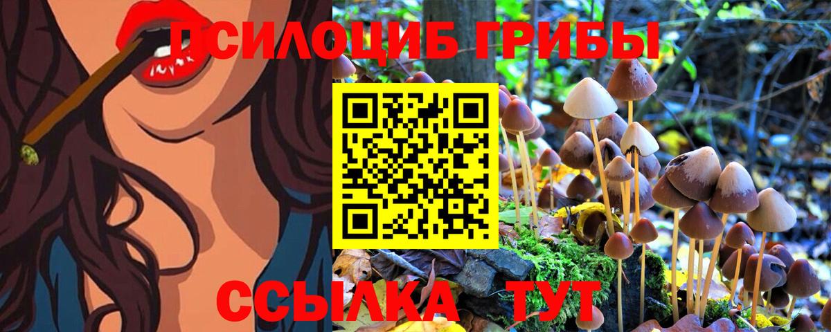 Галлюциногенные грибы Psilocybine cubensis  Галлюциногенные грибы Psilocybe  дарнет шоп  Курчатов  Вход с VPN 